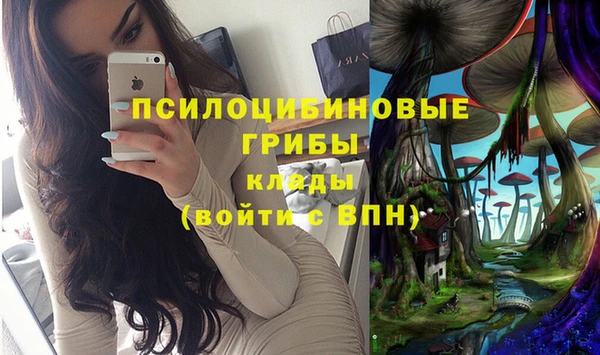jwh Бородино