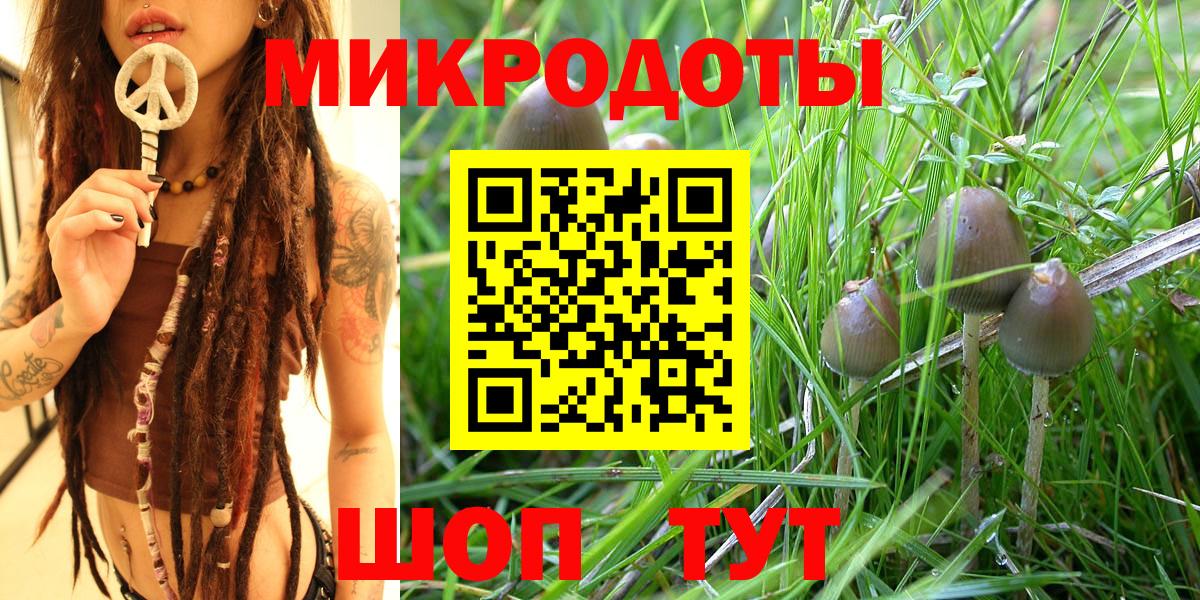 Псилоцибиновые грибы ЛСД Медногорск