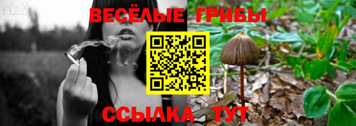 Галлюциногенные грибы Psilocybine cubensis  Галлюциногенные грибы мухоморы  купить наркотик  Вход с VPN  Медногорск 